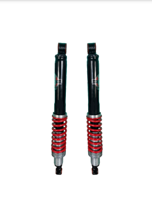 Coilovers Traseiros Kombi